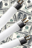 dollars and bulbs rounded